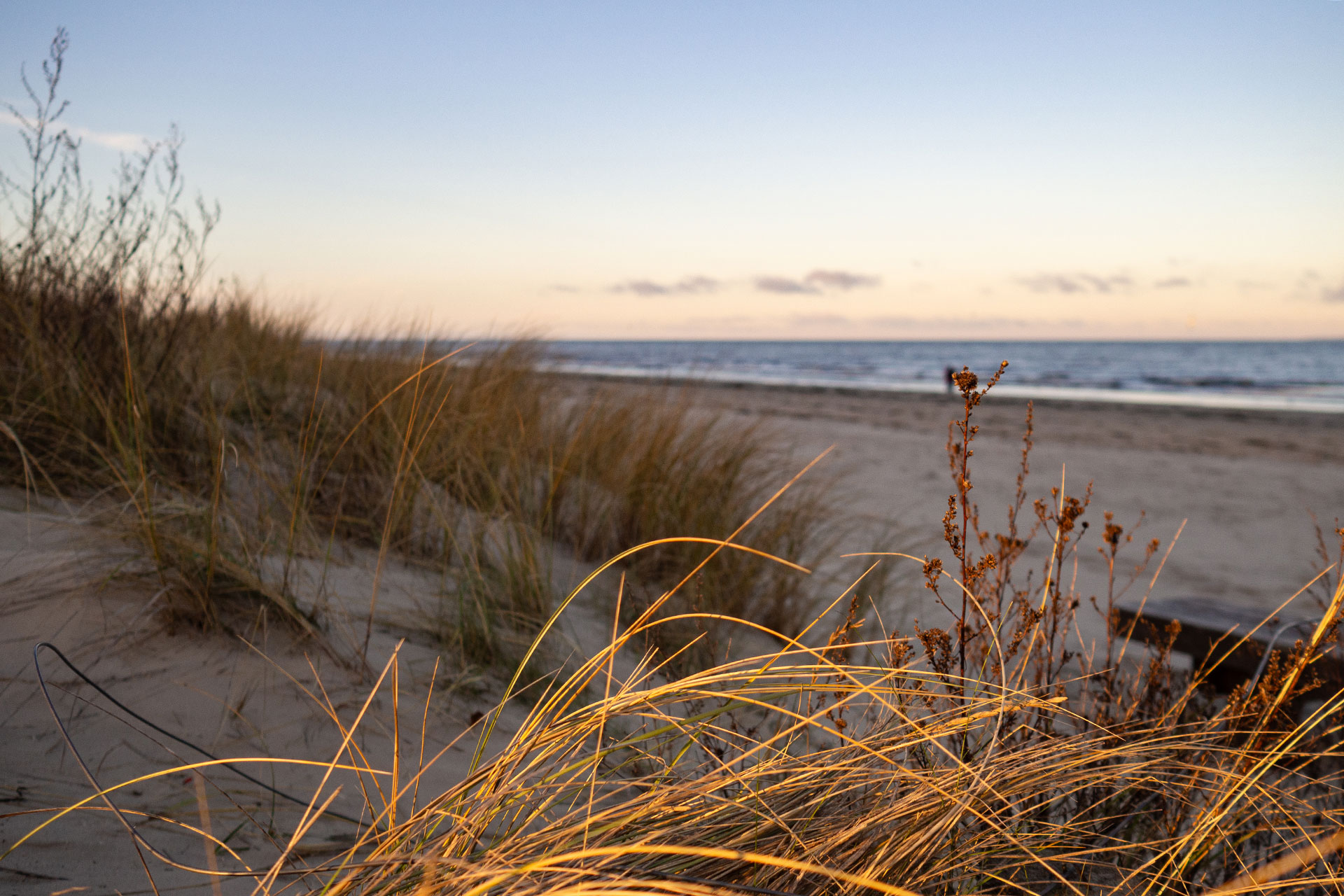 Einsamkeit in Bestlage – die Pineblue Villas auf Usedom