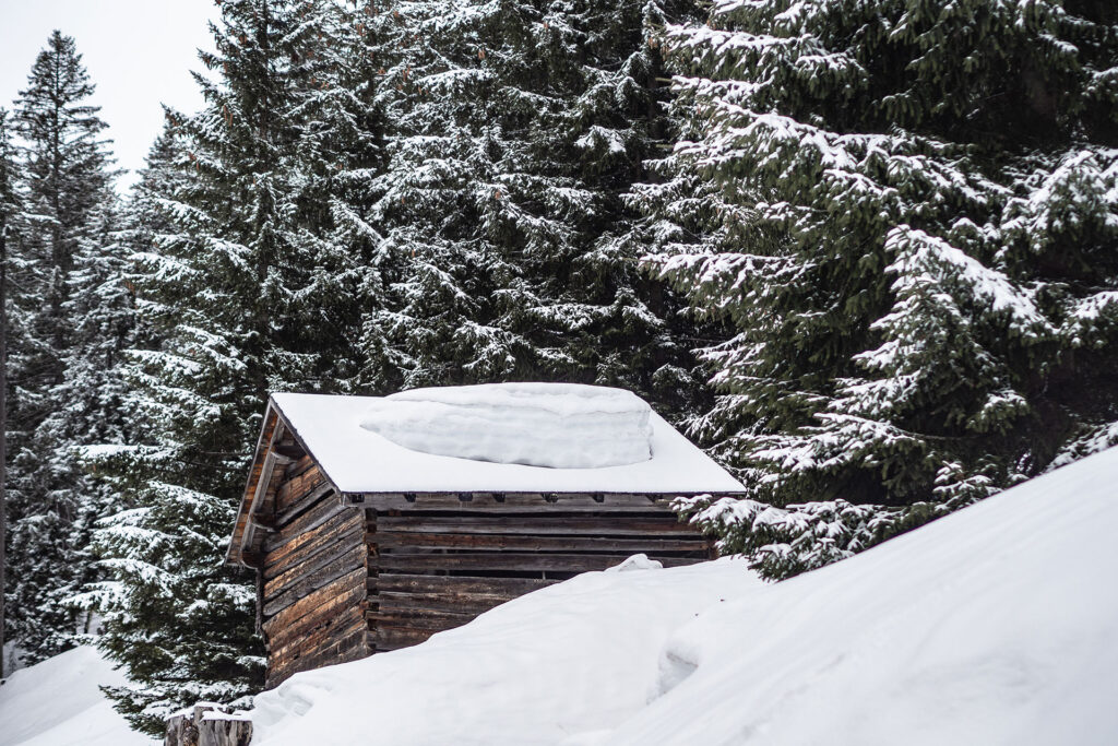 Cabinski Tiny Houses – ganz großes Kino