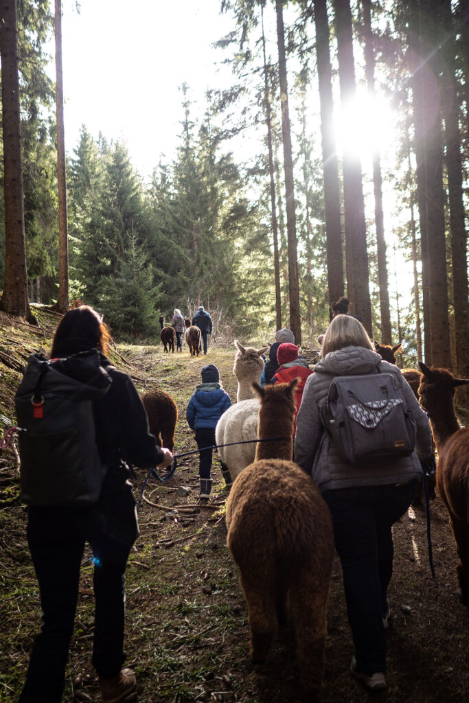 Von schnellen Kufen und klappernden Hufen – Familienzeit im Brixental