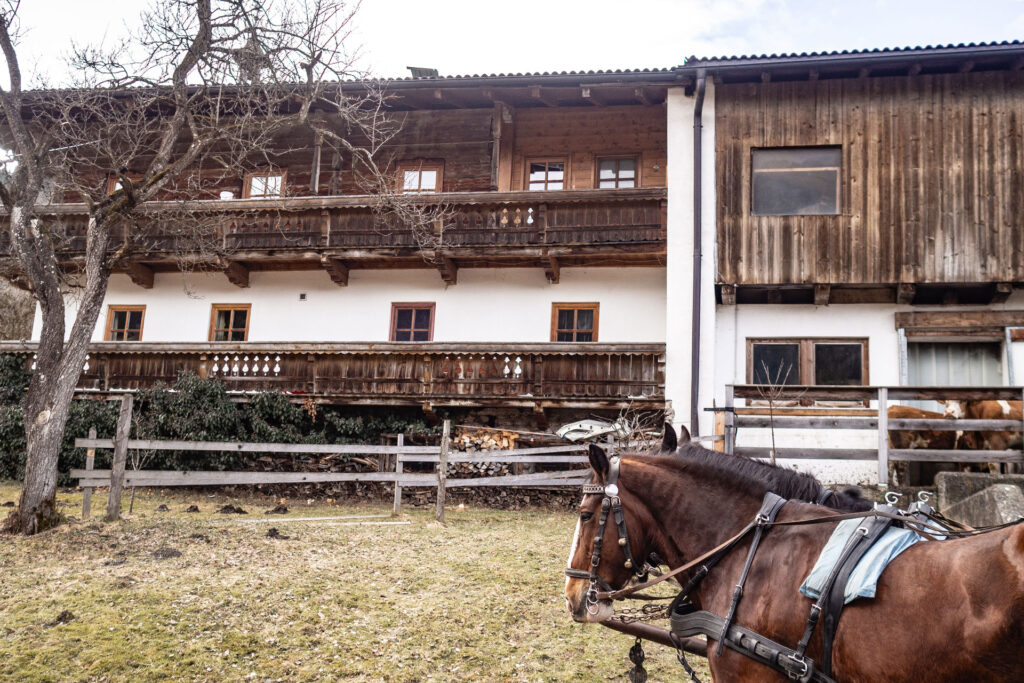 Von schnellen Kufen und klappernden Hufen – Familienzeit im Brixental