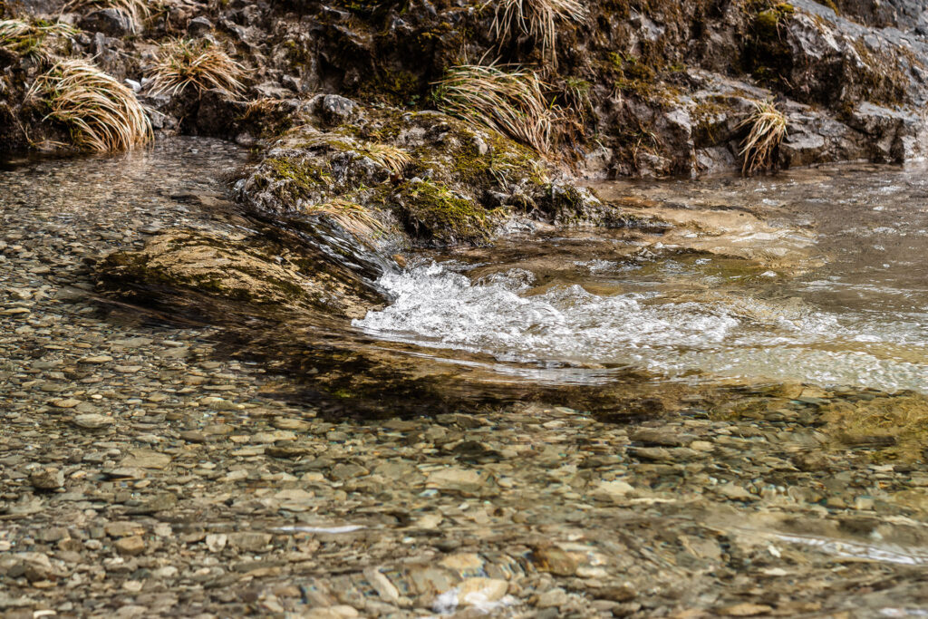 Frühlingserwachen in Lenggries – ein Abstecher zum „Münchner Hausberg“
