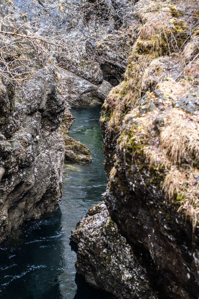 Frühlingserwachen in Lenggries – ein Abstecher zum „Münchner Hausberg“