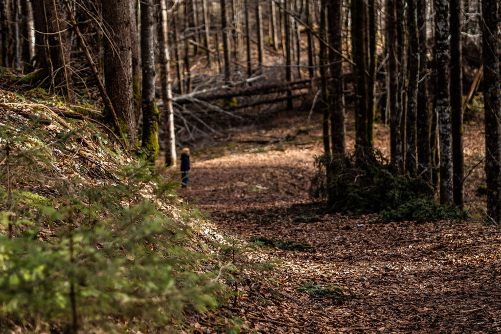 Frühlingserwachen in Lenggries – ein Abstecher zum „Münchner Hausberg“