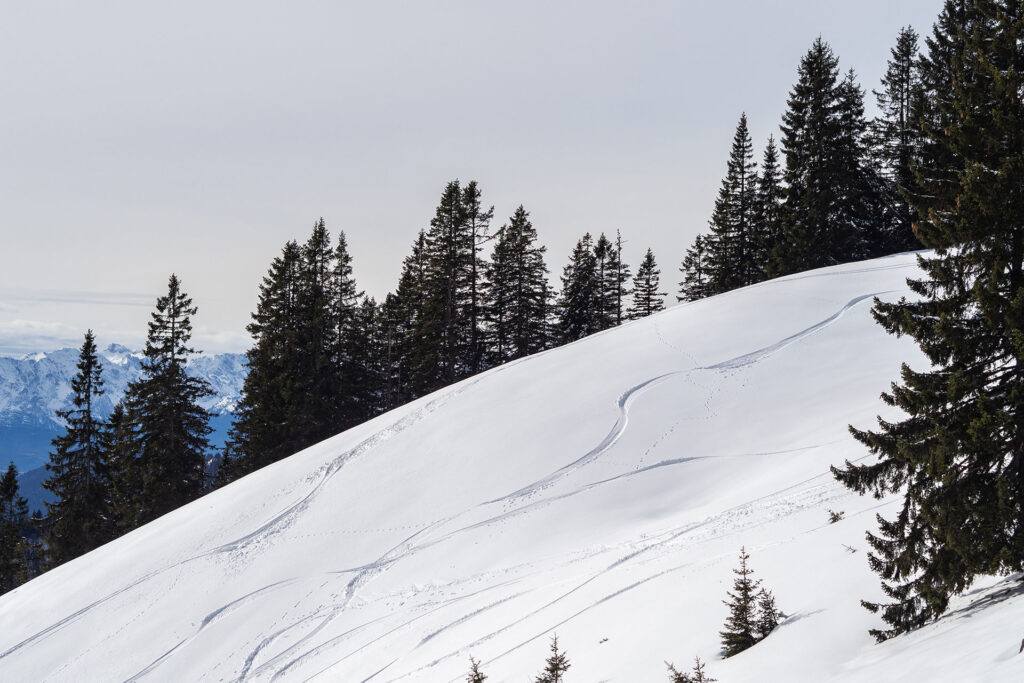 Frühlingserwachen in Lenggries – ein Abstecher zum „Münchner Hausberg“