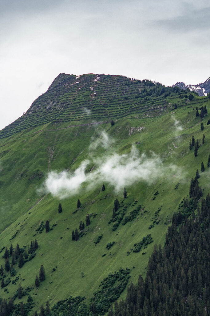 Wild und Frei – im Tiroler Lechtal