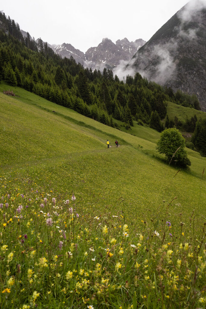 Wild und Frei – im Tiroler Lechtal