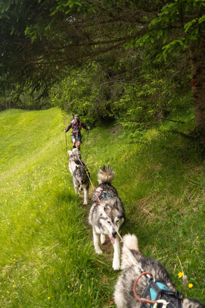 Wild und Frei – im Tiroler Lechtal