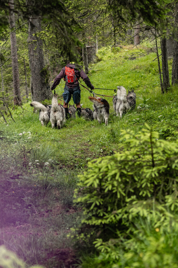 Wild und Frei – im Tiroler Lechtal