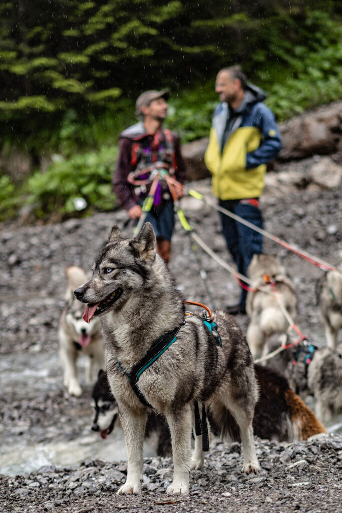 Wild und Frei – im Tiroler Lechtal