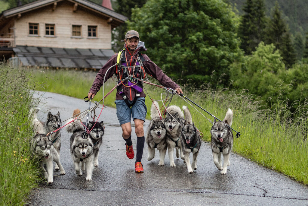Wild und Frei – im Tiroler Lechtal