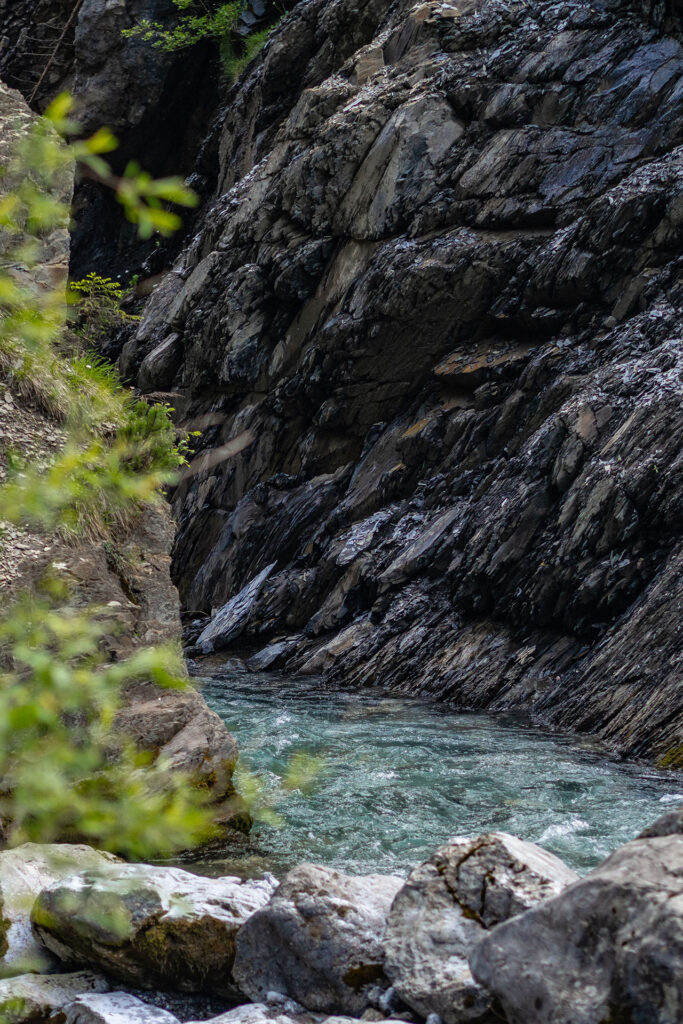 Wild und Frei – im Tiroler Lechtal