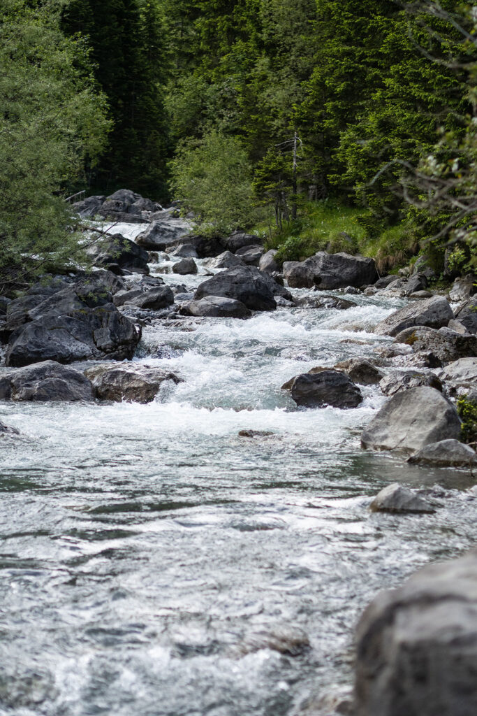 Wild und Frei – im Tiroler Lechtal