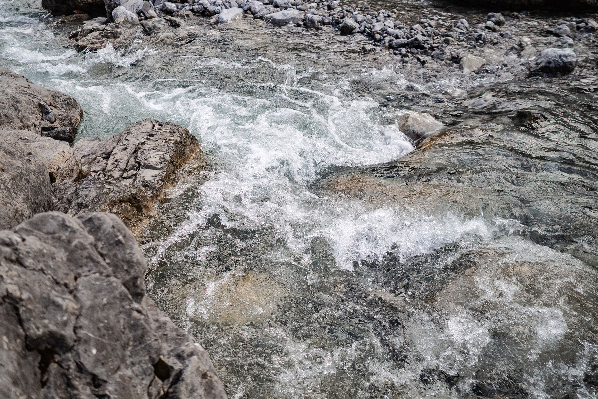 Wild und Frei – im Tiroler Lechtal