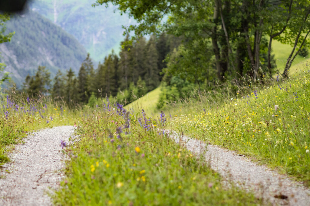 Wild und Frei – im Tiroler Lechtal