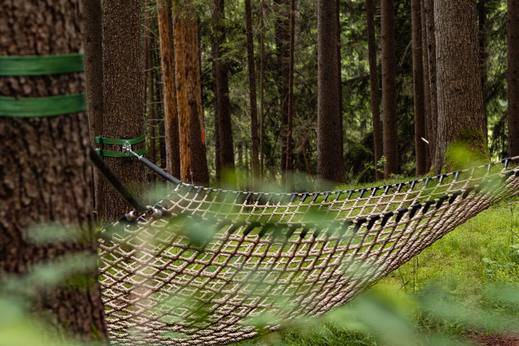 Wild und Frei – im Tiroler Lechtal