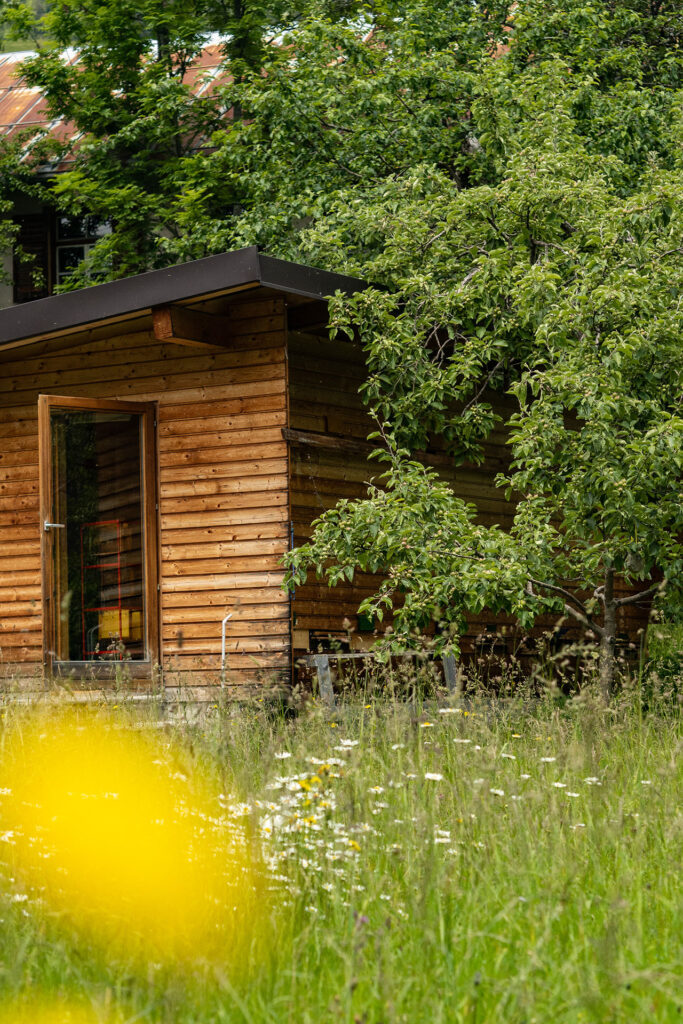 Wild und Frei – im Tiroler Lechtal