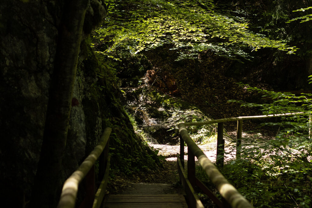 Von der Quelle bis zum Fall – der Lechweg