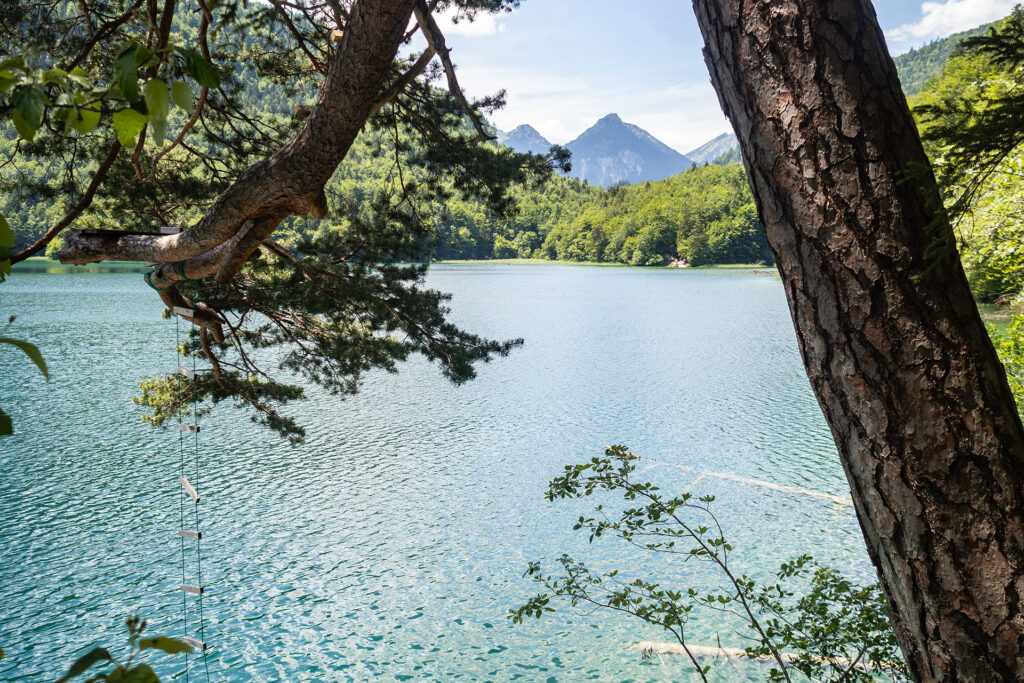 Von der Quelle bis zum Fall – der Lechweg