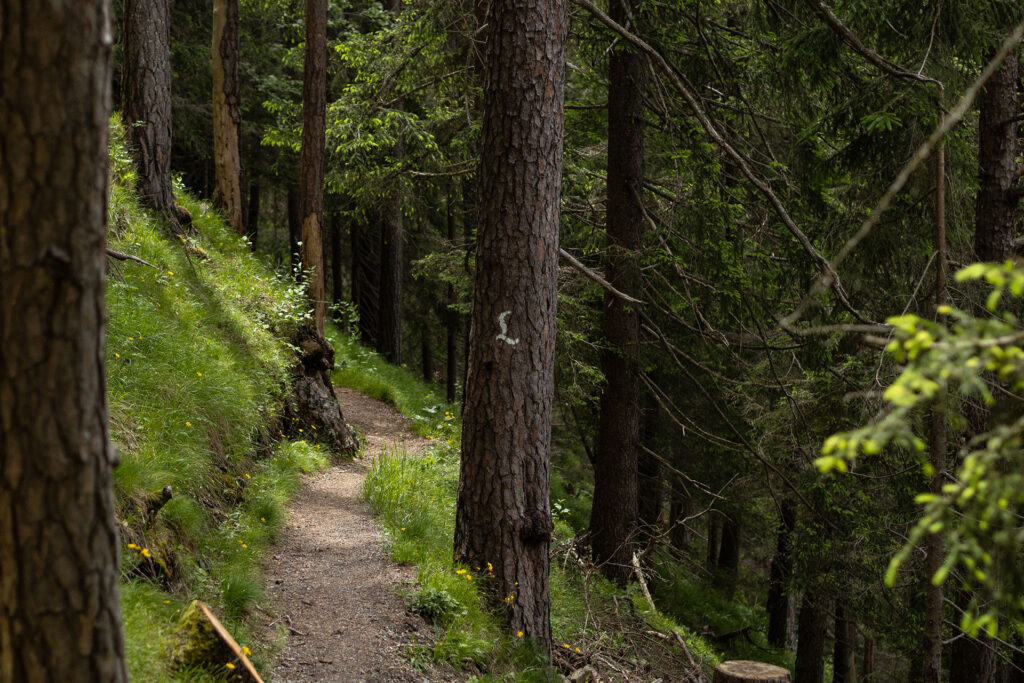 Von der Quelle bis zum Fall – der Lechweg
