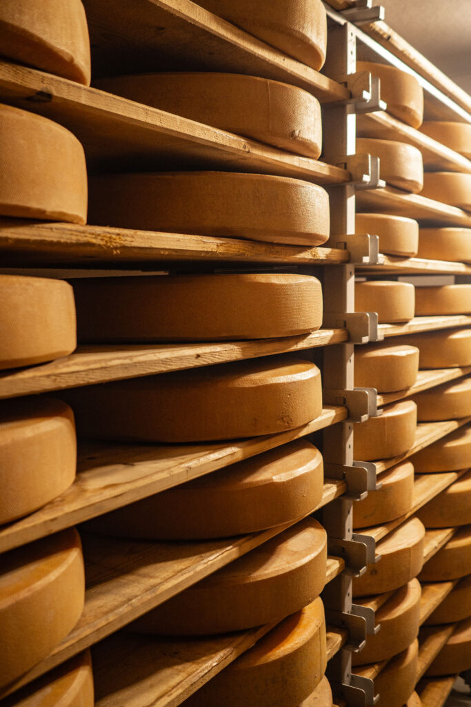 Von der Quelle bis zum Fall – der Lechweg