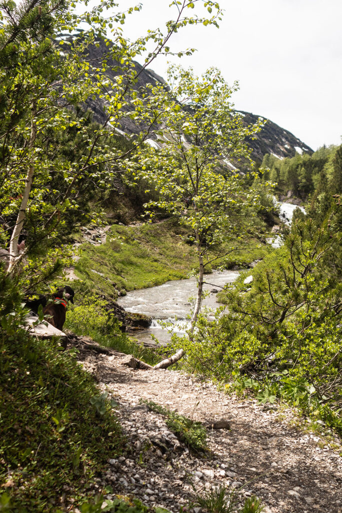 Von der Quelle bis zum Fall – der Lechweg