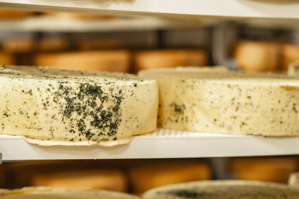 Von der Quelle bis zum Fall – der Lechweg