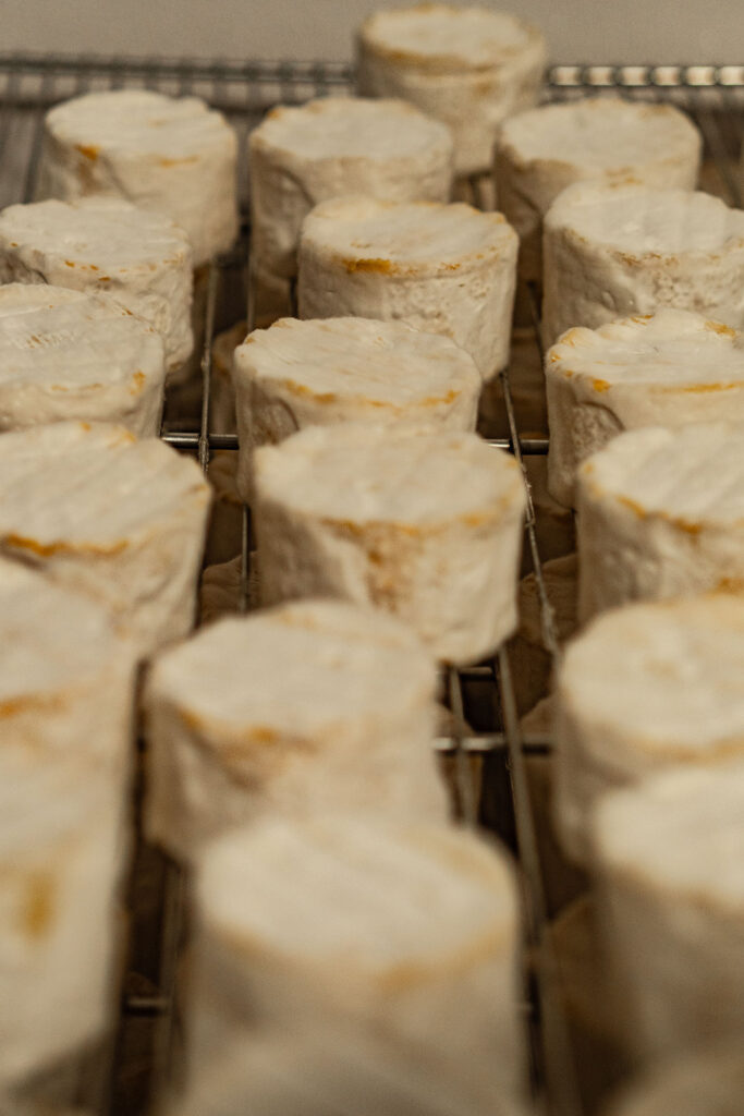 Von der Quelle bis zum Fall – der Lechweg