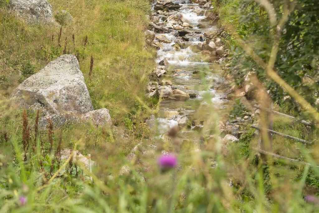 Das Mühlwald in Südtirol – viel Raum für bleibende Erinnerungen