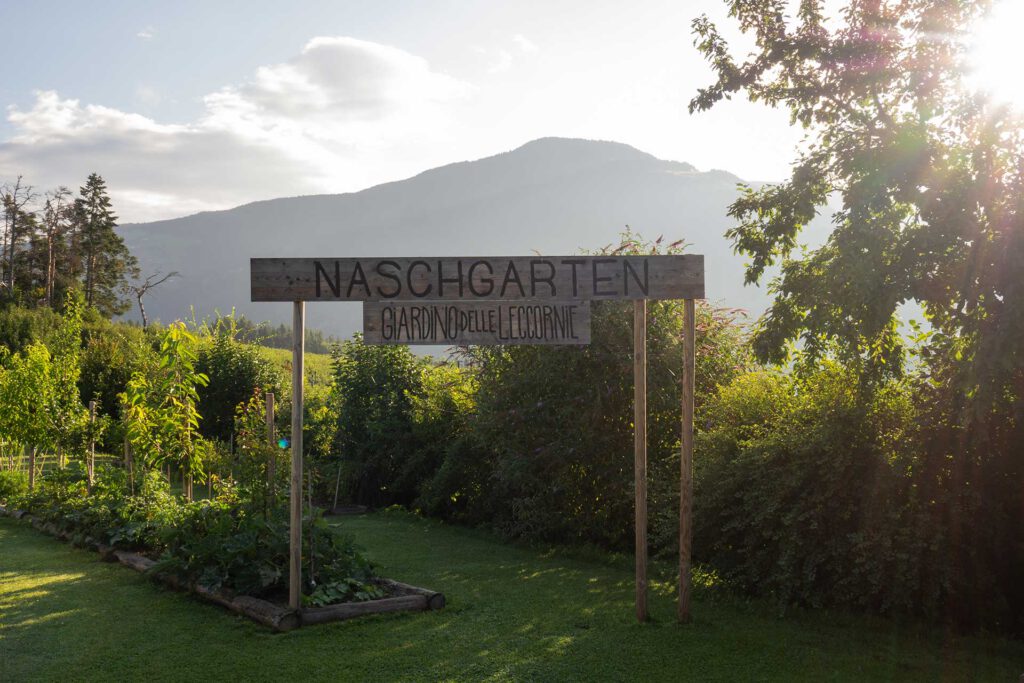 Das Mühlwald in Südtirol – viel Raum für bleibende Erinnerungen