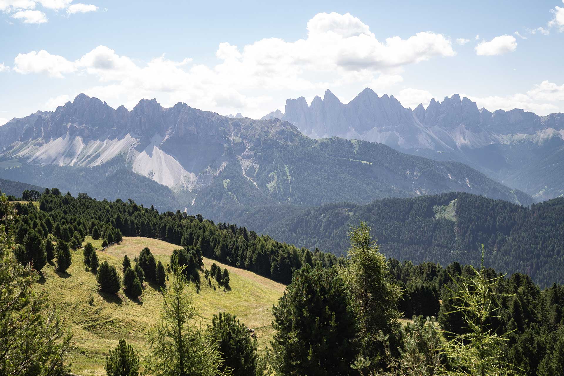 Das Mühlwald in Südtirol – viel Raum für bleibende Erinnerungen