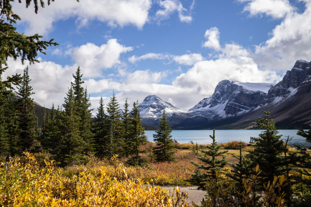 Platz da, in Kanada! Ein Roadtrip in XXL