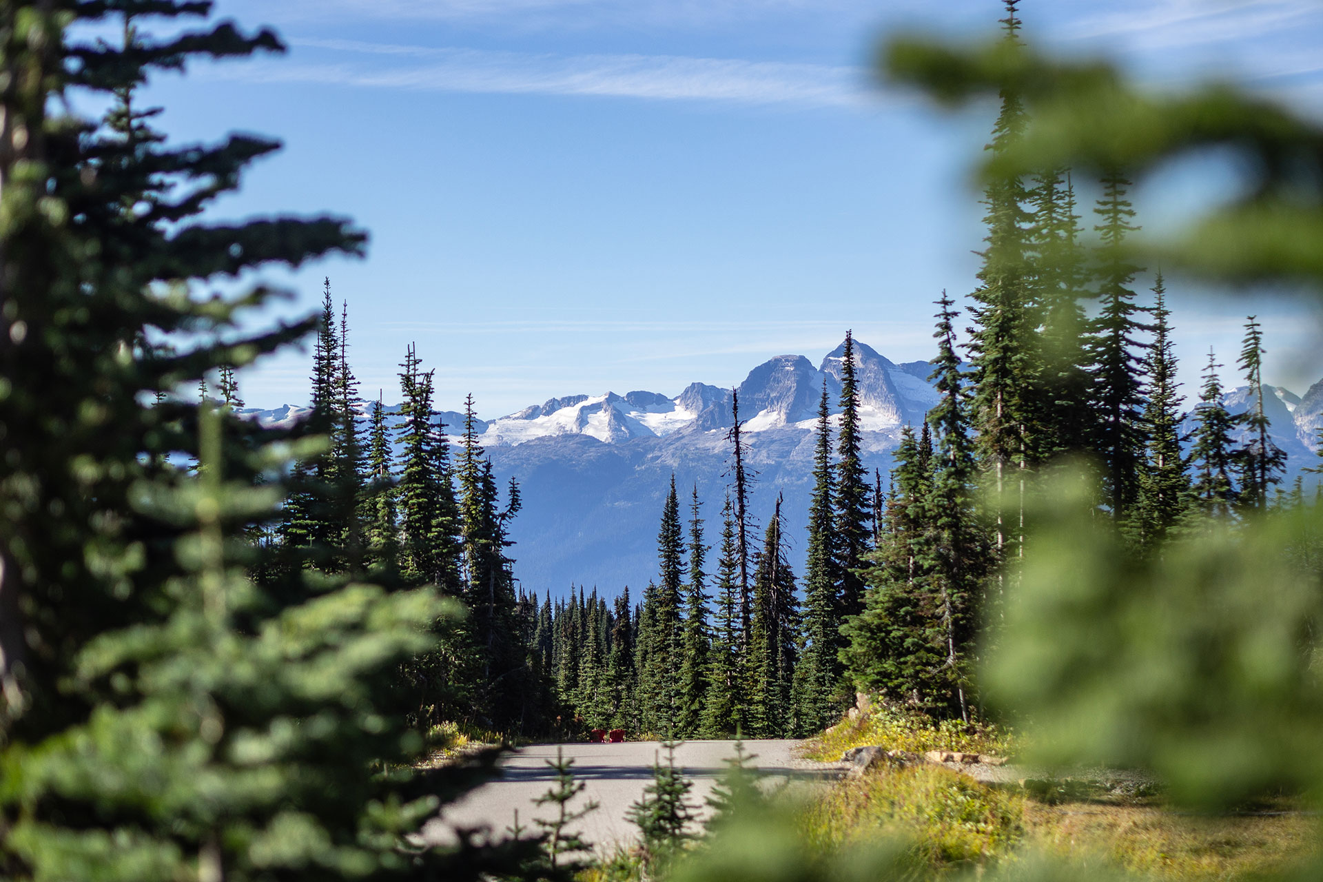 Platz da, in Kanada! Ein Roadtrip in XXL