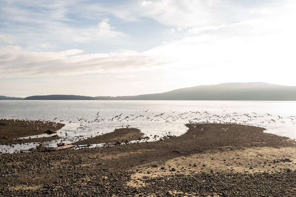 Platz da, in Kanada! Ein Roadtrip in XXL