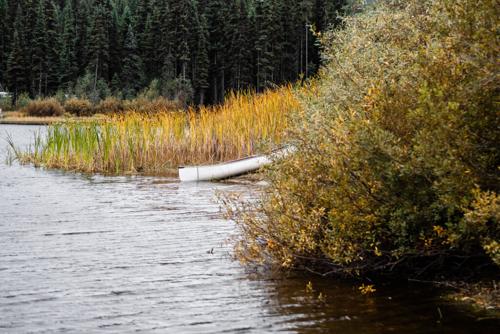 Kanadas Westen – von springenden Lachsen & fliegenden Äxten