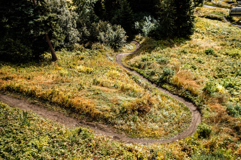 Kanadas Westen – von springenden Lachsen & fliegenden Äxten