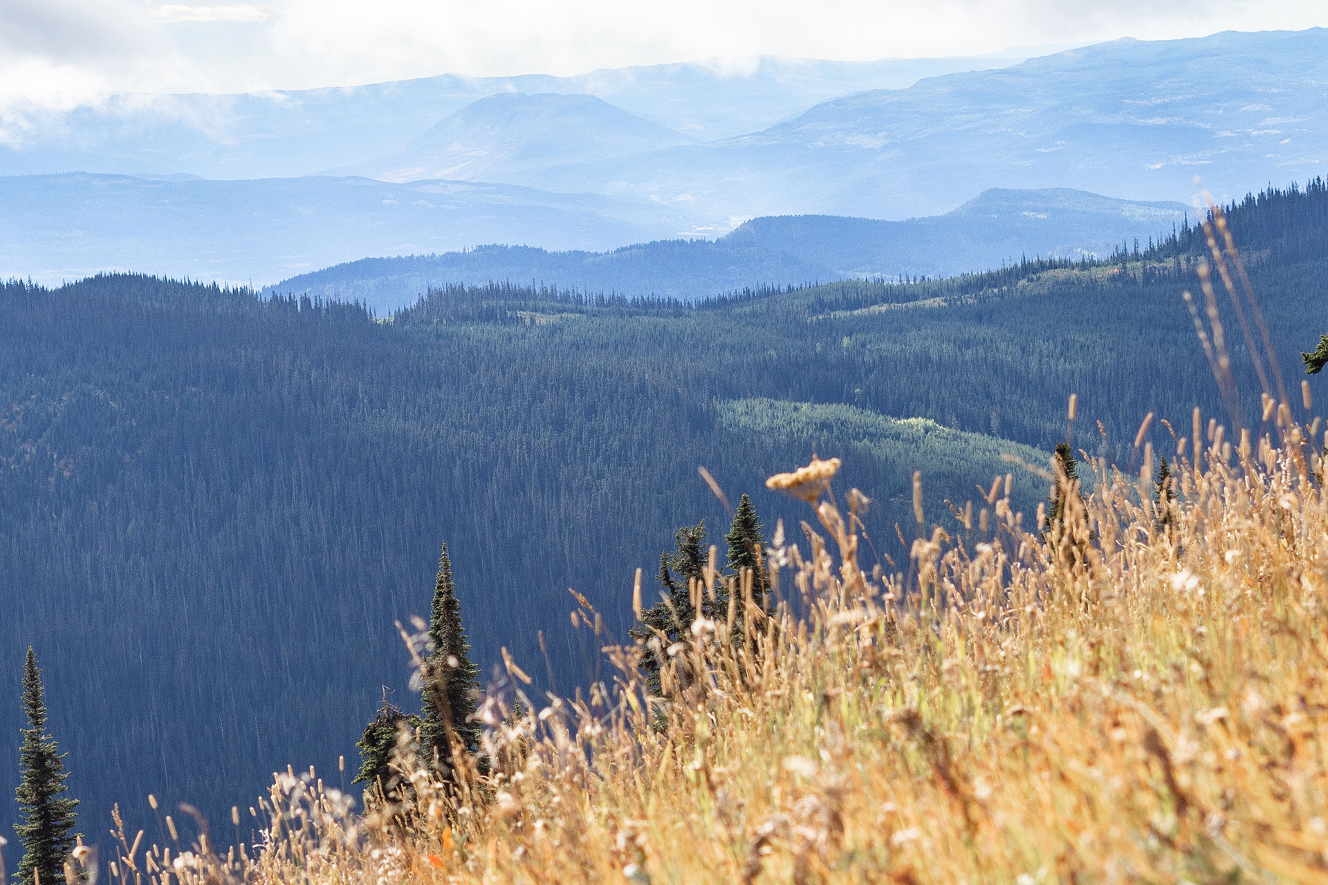 Kanadas Westen – von springenden Lachsen & fliegenden Äxten