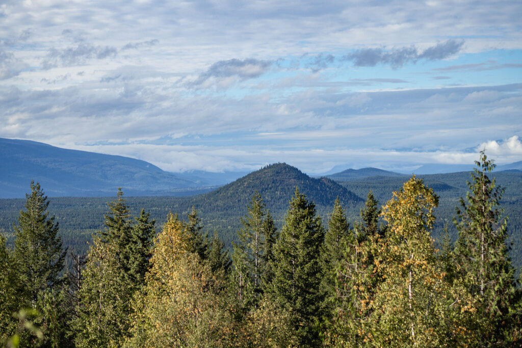 Kanadas Westen – von springenden Lachsen & fliegenden Äxten
