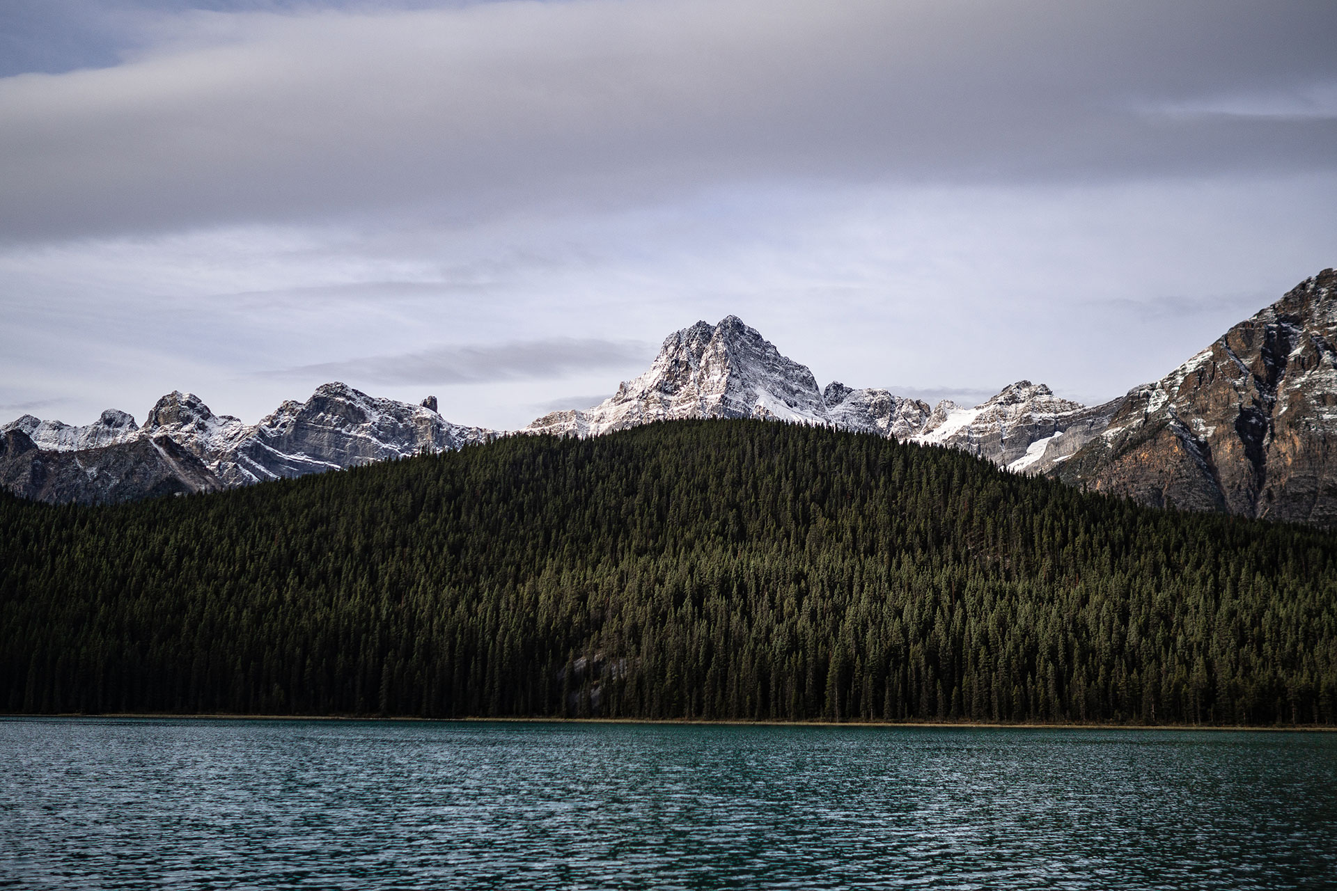 Icefield Parkway – unterwegs auf der schönsten Straße Kanadas