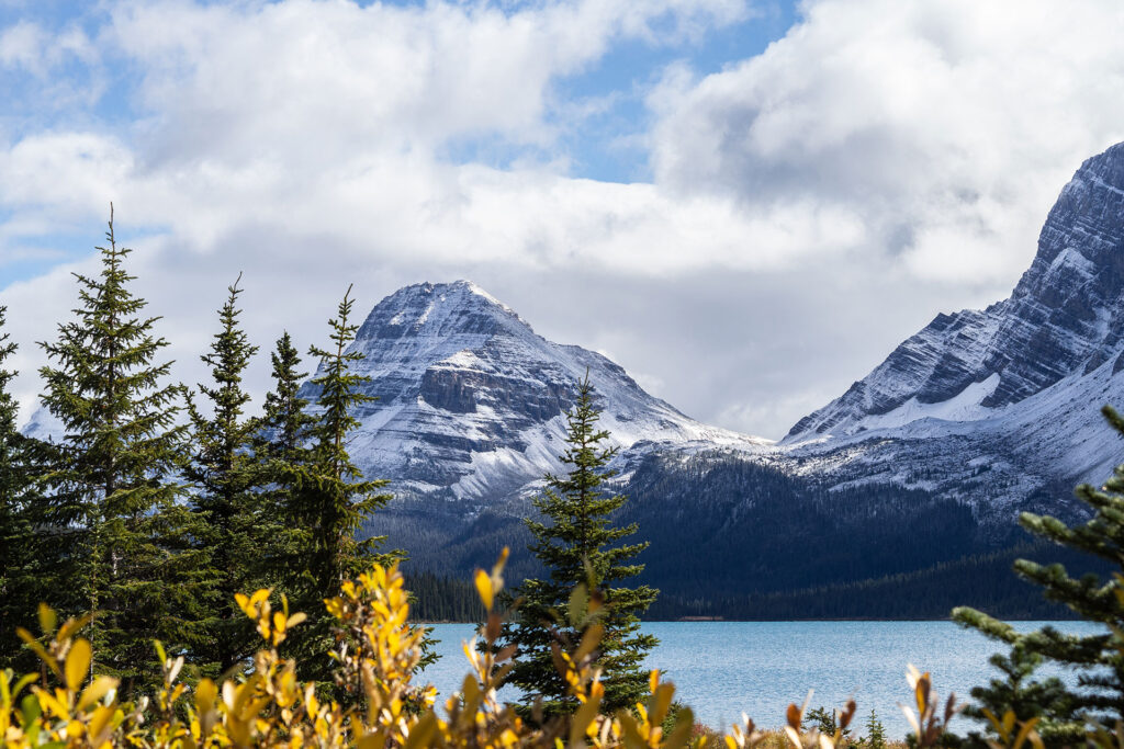 Icefield Parkway – unterwegs auf der schönsten Straße Kanadas