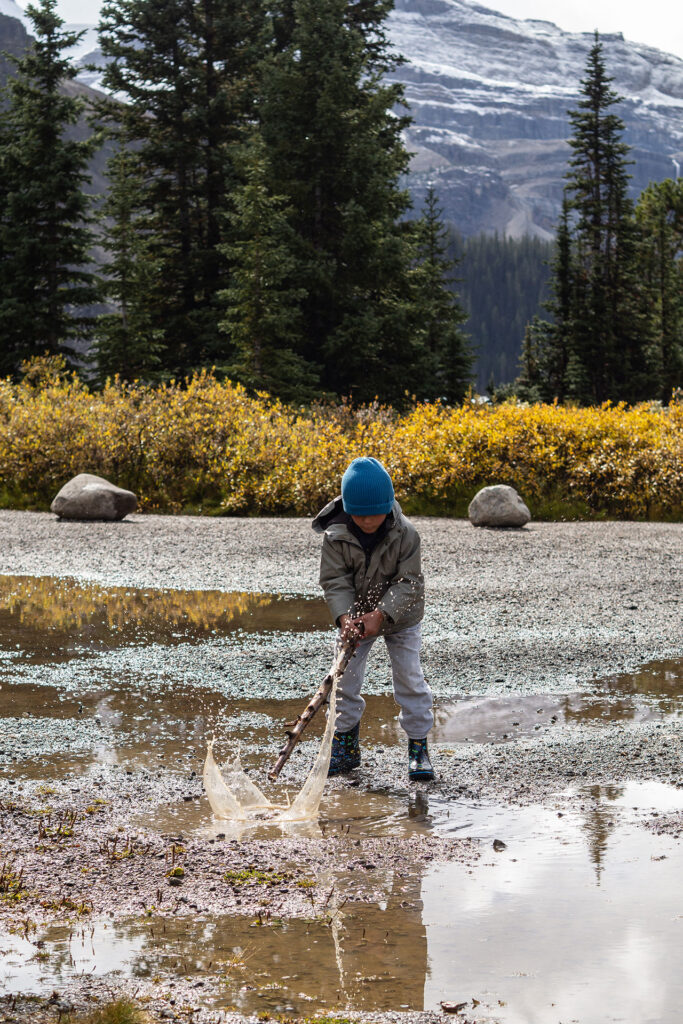 Icefield Parkway – unterwegs auf der schönsten Straße Kanadas