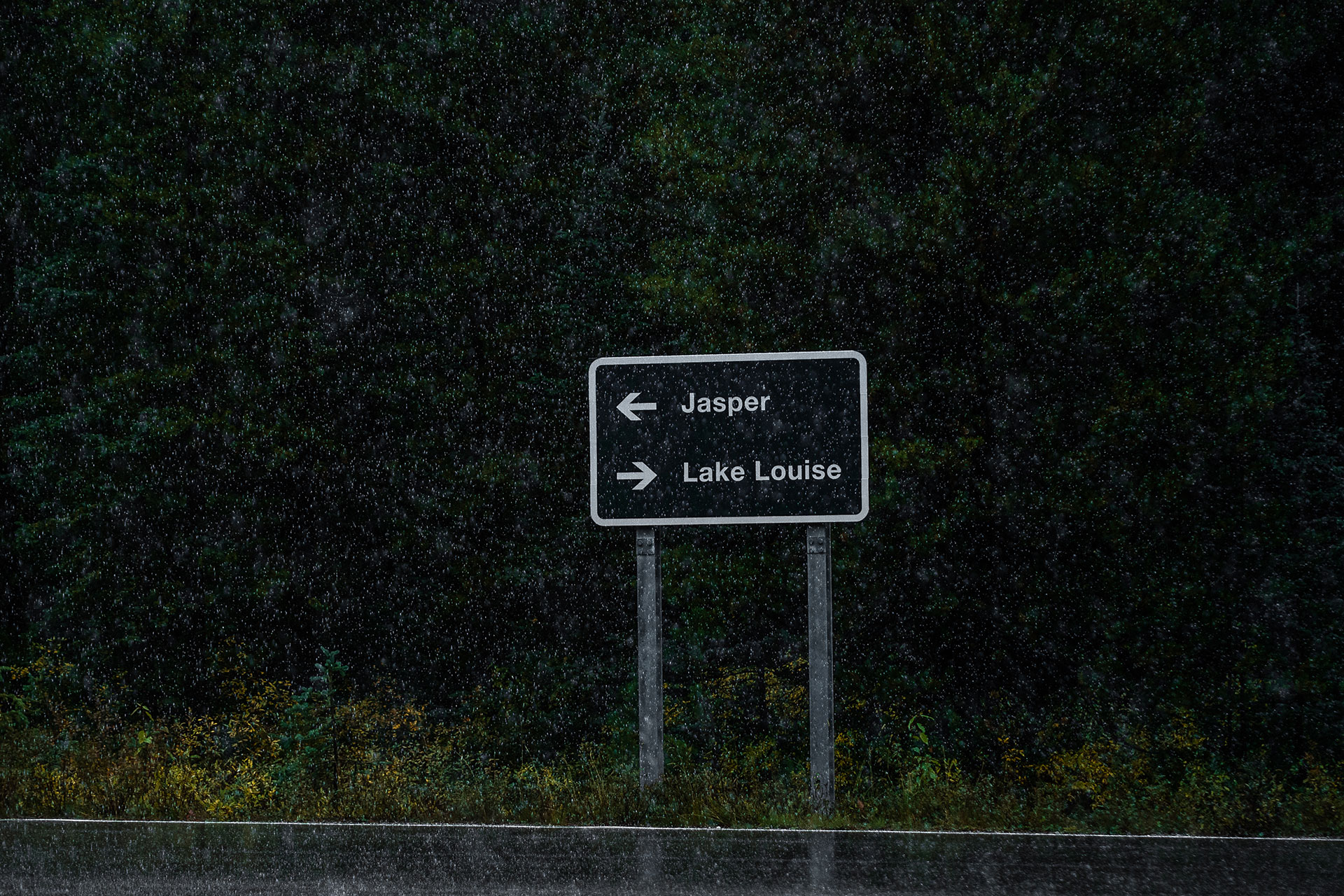 Rainforest to Rockies – das Abenteuer beginnt