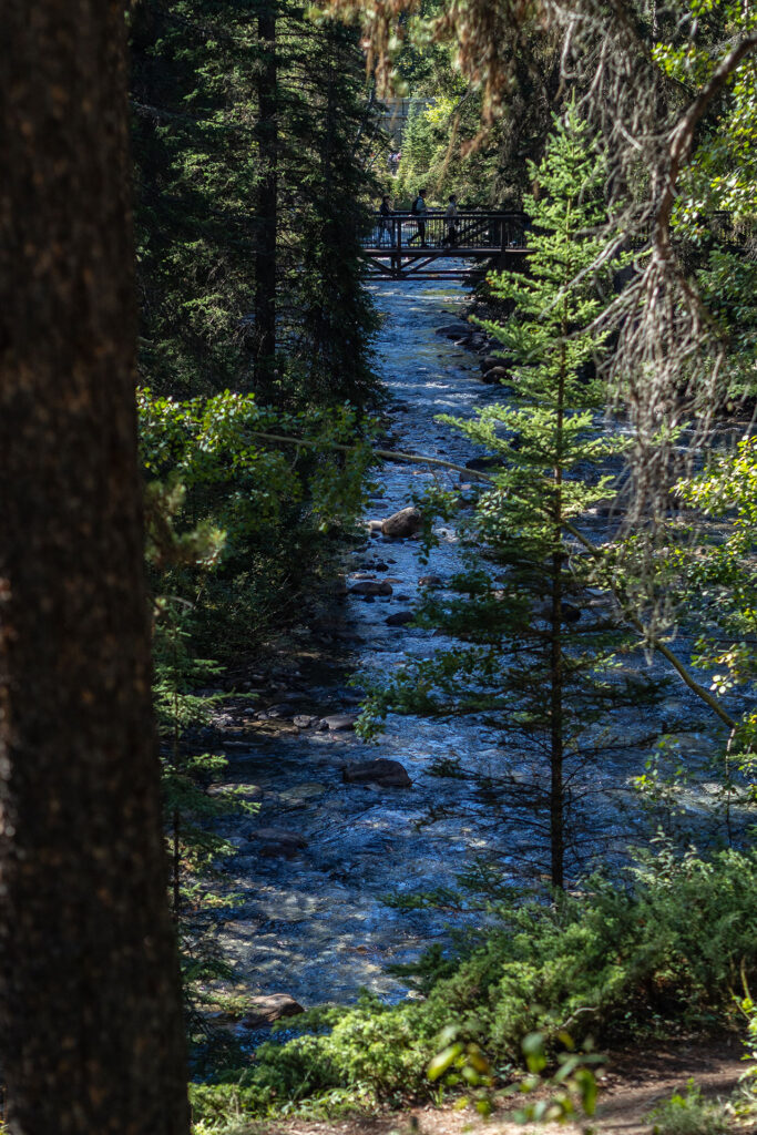 Icefield Parkway – unterwegs auf der schönsten Straße Kanadas