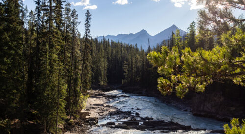 Rainforest to Rockies – das Abenteuer beginnt