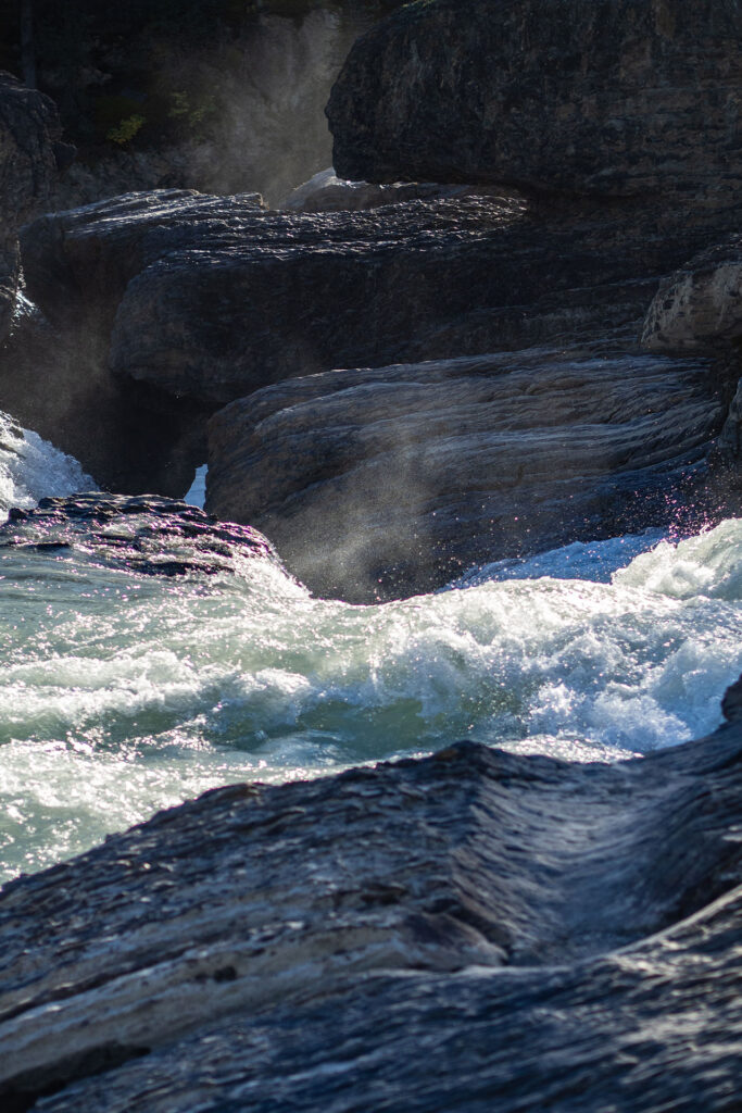 Rainforest to Rockies – das Abenteuer beginnt