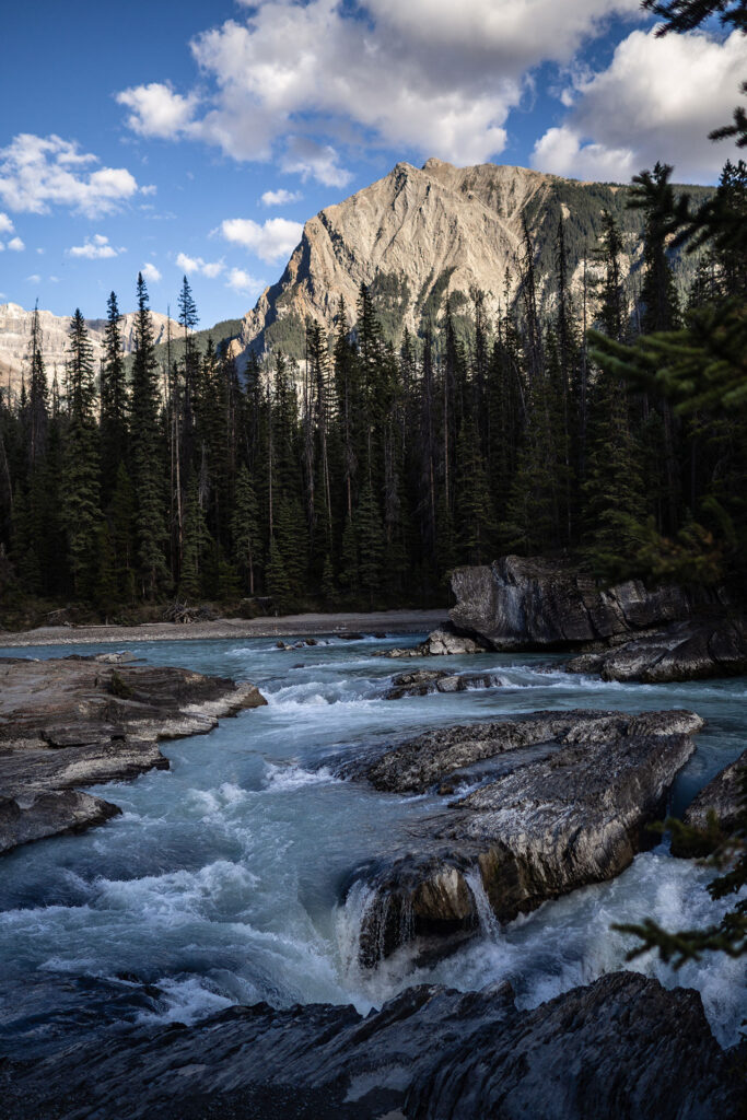 Rainforest to Rockies – das Abenteuer beginnt