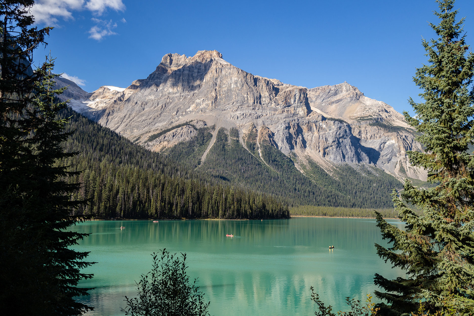 Rainforest to Rockies – das Abenteuer beginnt