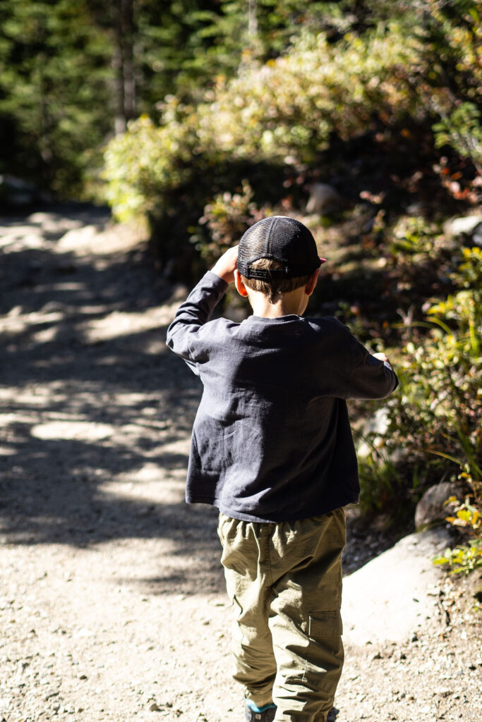 Rainforest to Rockies – das Abenteuer beginnt