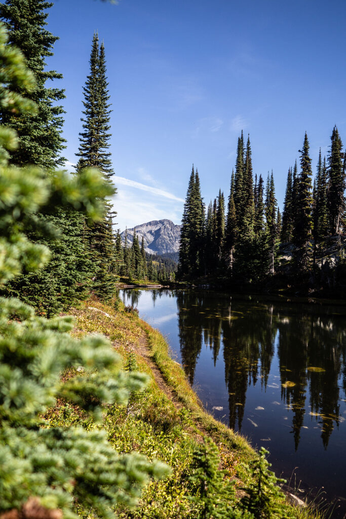 Rainforest to Rockies – das Abenteuer beginnt