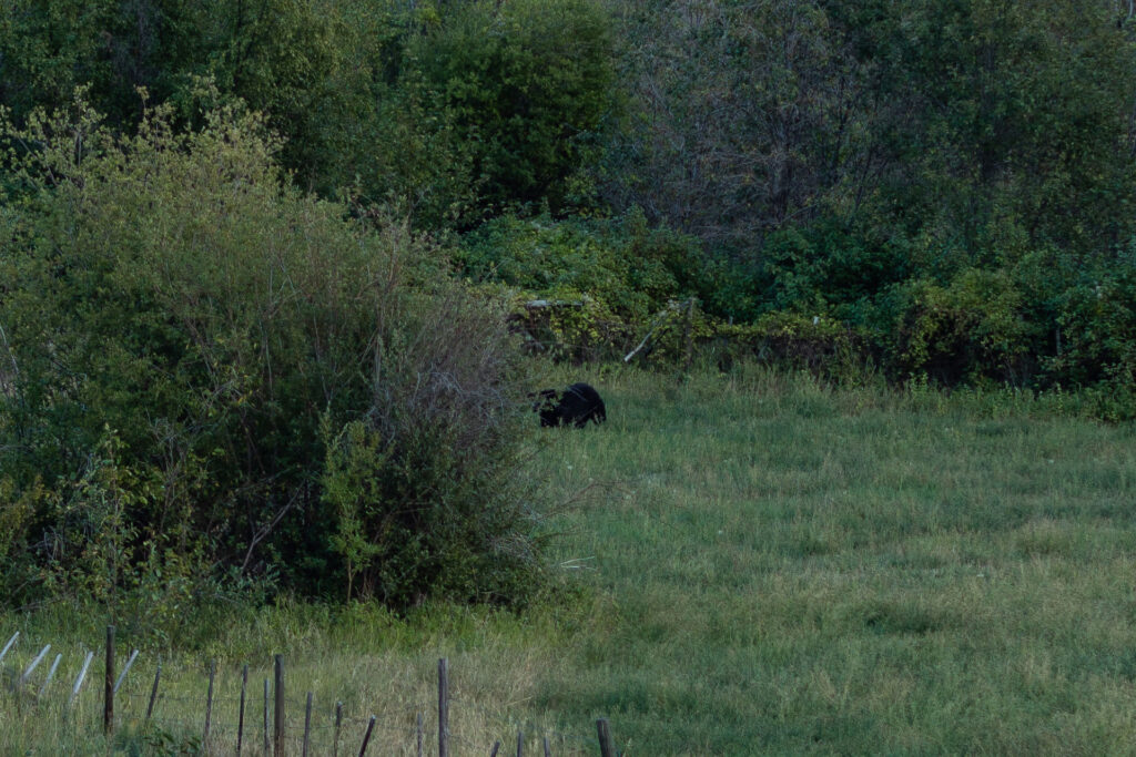 Rainforest to Rockies – das Abenteuer beginnt