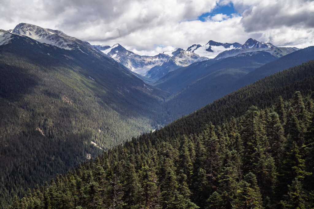 Rainforest to Rockies – das Abenteuer beginnt